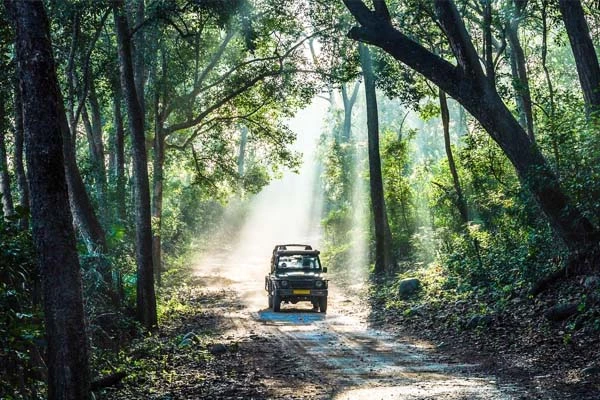 Delhi to Jim Corbett Road Trip