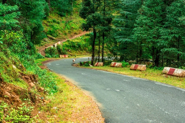 Distance and Route of Delhi to Nainital Road Trip