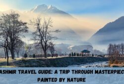 Kashmir Travel Guide: A Trip through Masterpiece painted by Nature