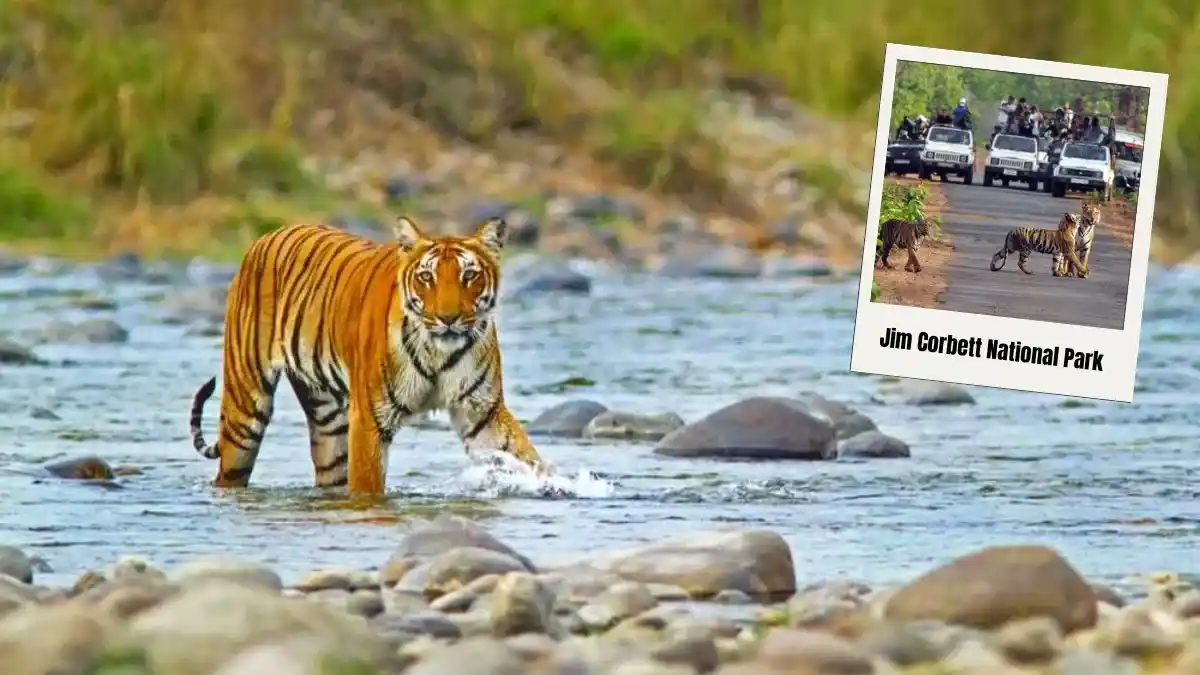 Jim Corbett National Park, Uttarakhand