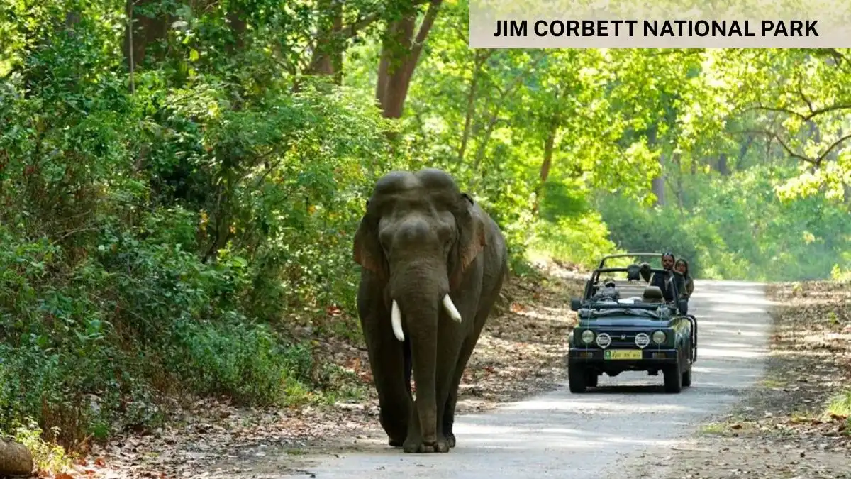 Jim Corbett National Park
