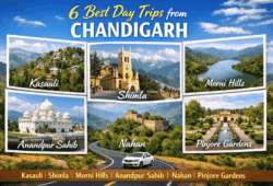 Top 6 destinations for day trips from Chandigarh