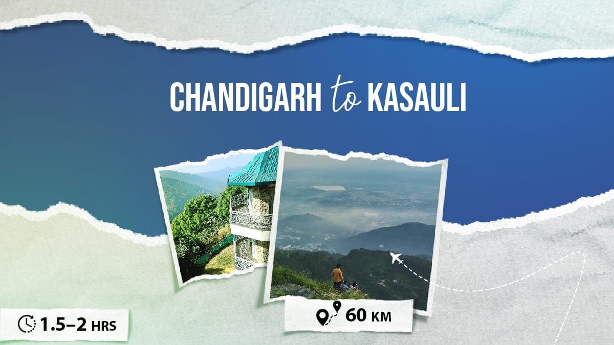 Chandiarh to Kasauli Day Trip