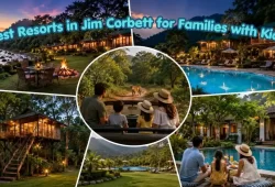 Best Resorts in Jim Corbett