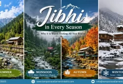 Jibhi in Every Season
