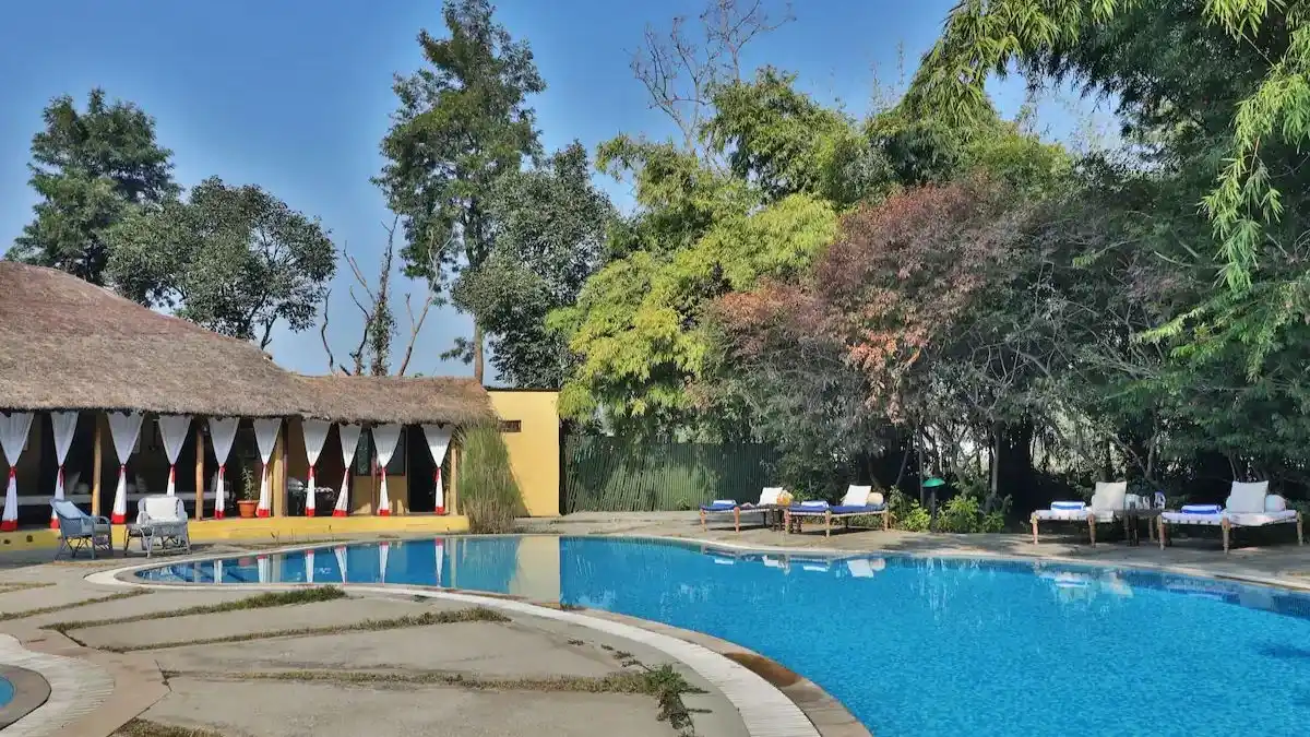 Jim's Jungle Retreat, Marchula