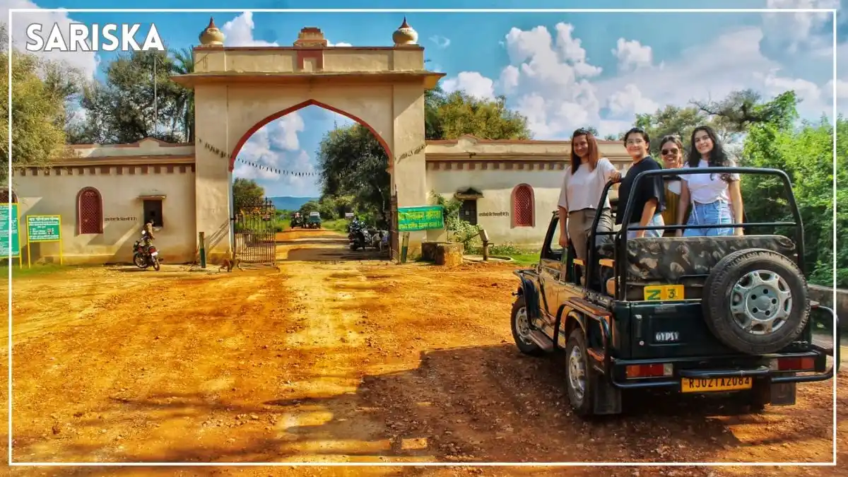 Delhi to Sariska